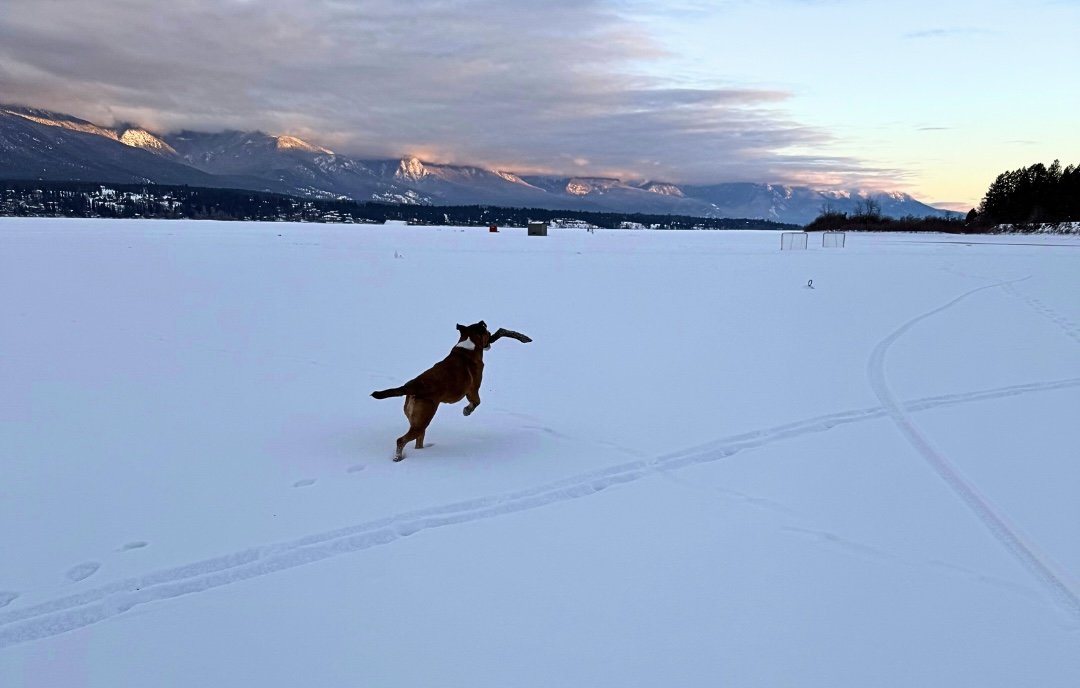 Lake Windermere Whiteway